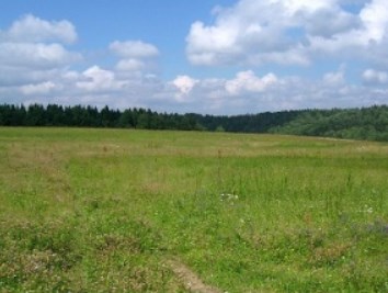 zemdi9