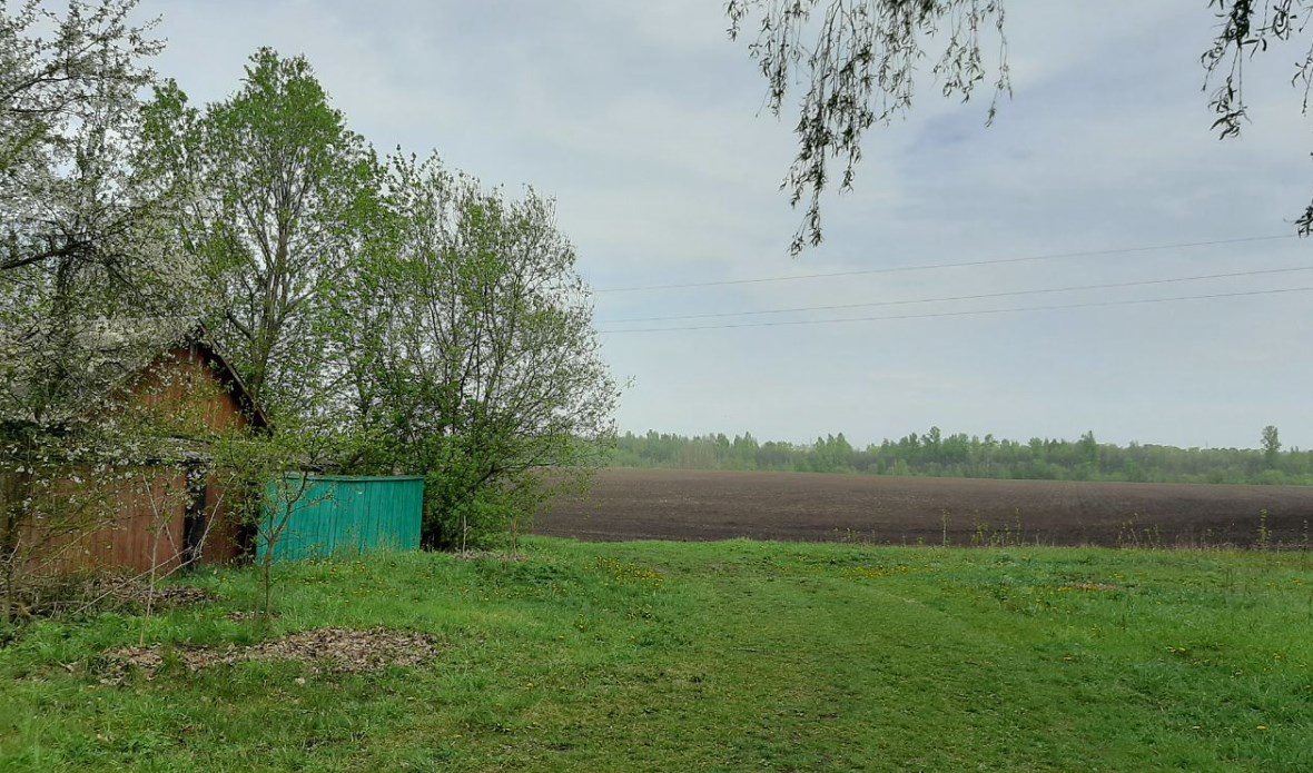 polya