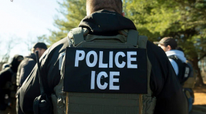 Про можливі штрафи та депортацію нелегальних іммігрантів зі США розповіла імміграційний адвокат Альона Шевцова