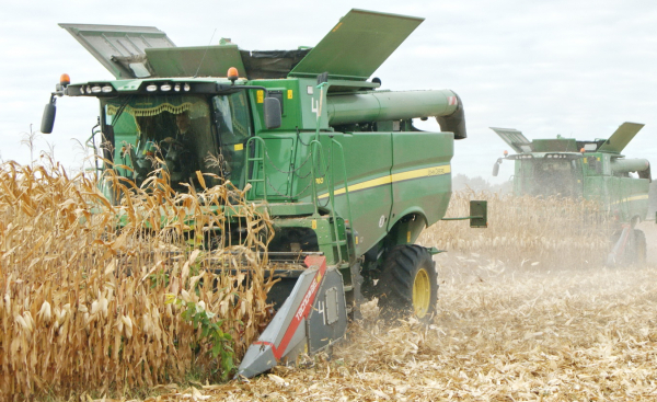 Чернігівщина - лідер за врожаєм зернових