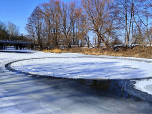 Дива природи на Сосниччині