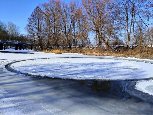 Дива природи на Сосниччині