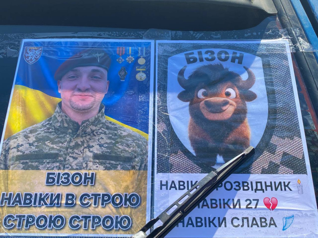 бізон