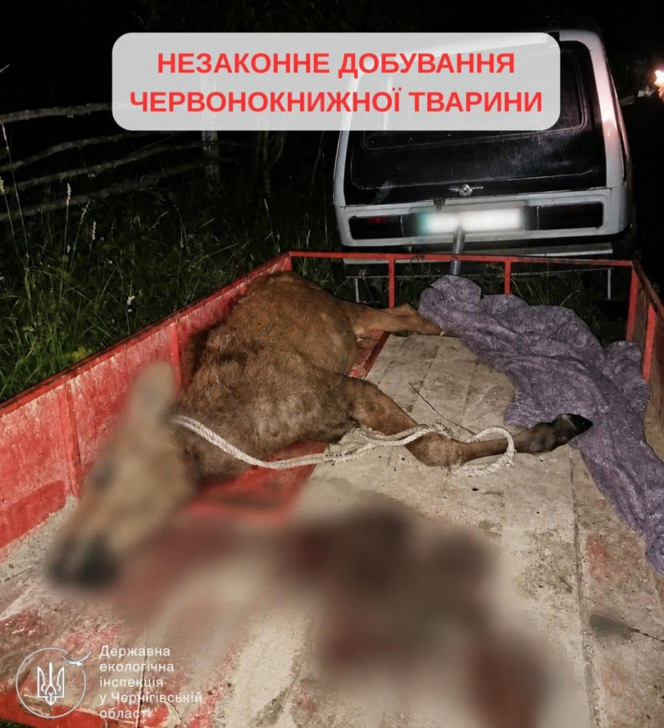 лось
