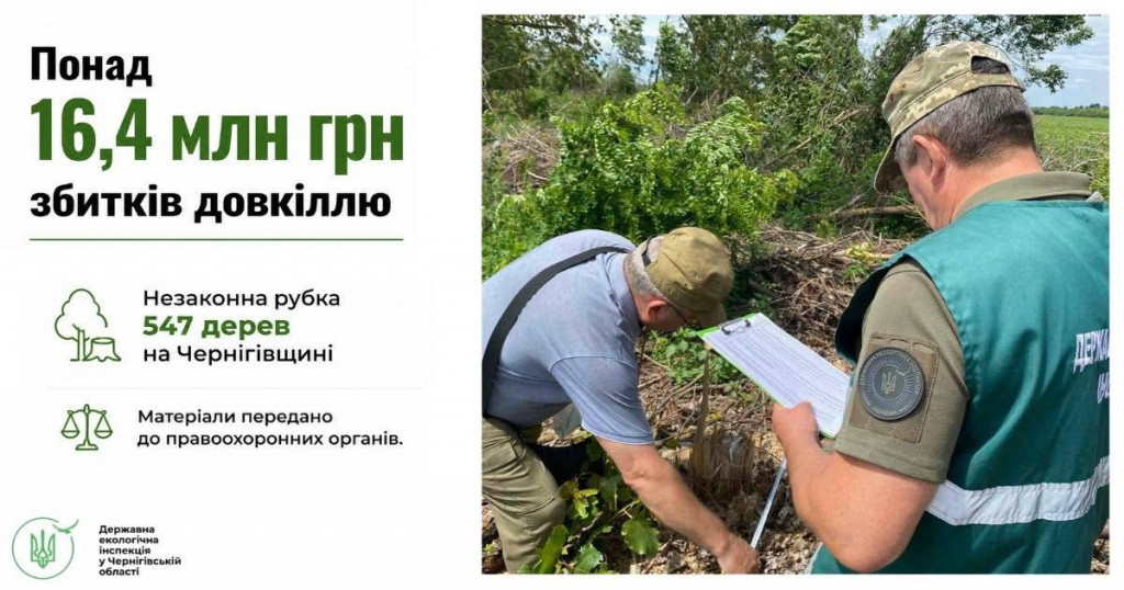 вирубка