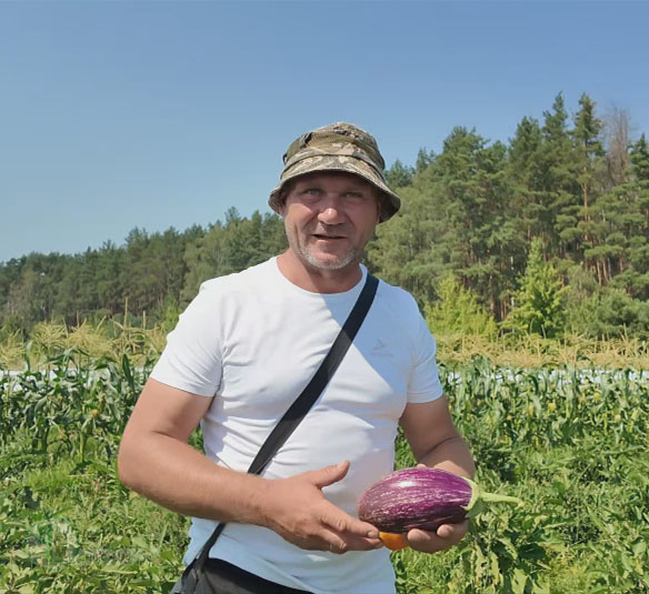 Мармурові баклажани