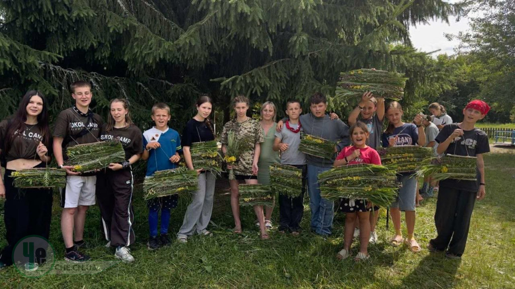 фіто