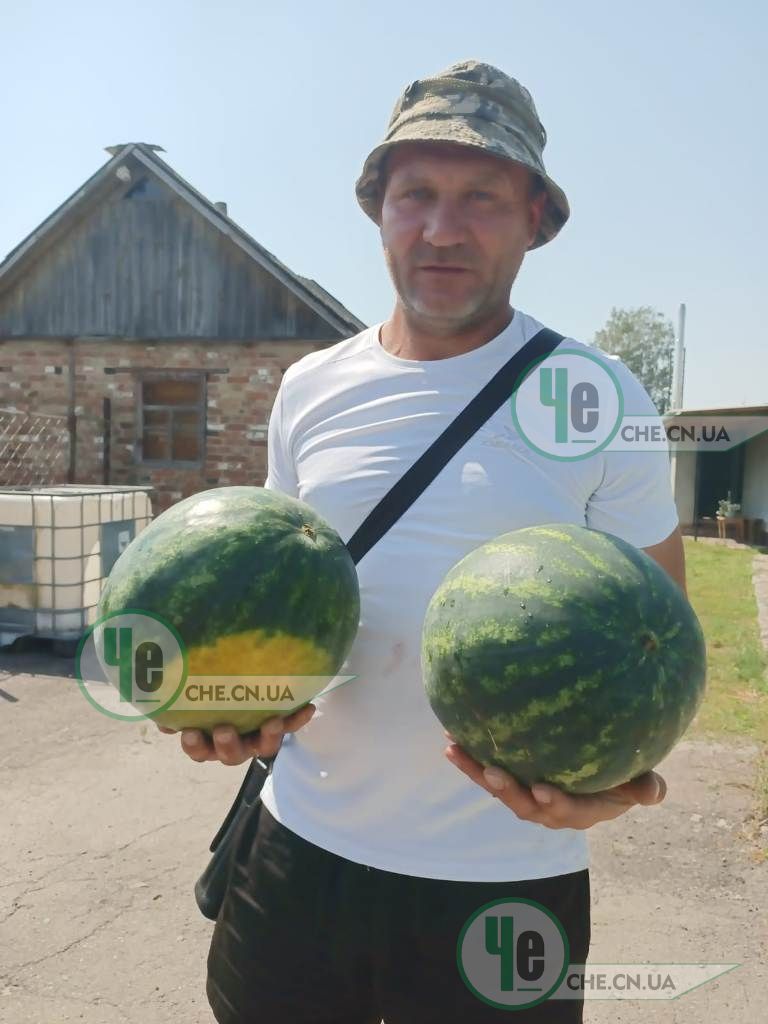 з кавунами