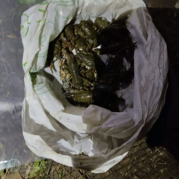 раки
